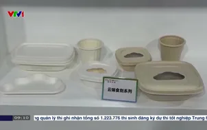 Các sản phẩm xanh tại triển lãm Hải Nam