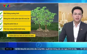 Bản tin thời tiết 5h30 - 07/5/2026
