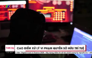 Cao điểm xử lý vi phạm quyền sở hữu trí tuệ