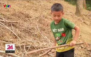 Em bé nói ít làm nhiều