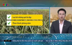 Bản tin thời tiết 5h30 - 08/5/2026