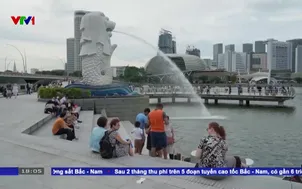 Singapore cách ly 2 người liên quan ổ dịch virus Hanta
