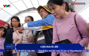Cuộc đua ốc sên 