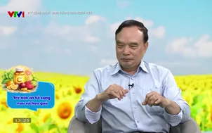 VTV Sống khỏe - Dinh dưỡng cho người Việt: Dinh dưỡng tuổi học đường