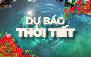 Bản tin thời tiết 19h45 - 11/5/2026