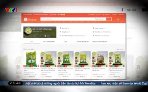 Nhái thương hiệu gạo còn phổ biến