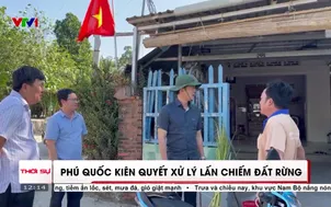 Phú Quốc kiên quyết xử lý lấn chiếm đất rừng