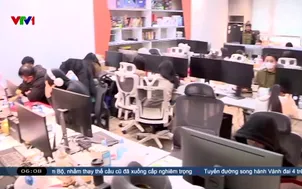 Tăng cường phối hợp xử lý vi phạm bản quyền