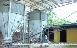 Nhà nông ứng dụng công nghệ để tiết kiệm năng lượng