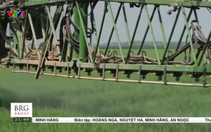 Nông dân Pháp thích ứng giá phân bón tăng
