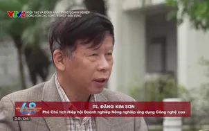Kiến tạo và đồng hành cùng doanh nghiệp: Dòng vốn cho nông nghiệp bền vững