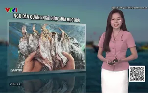 Bản tin thời tiết 9h10 - 13/5/2026