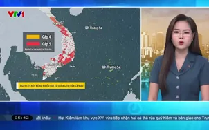 Bản tin thời tiết 5h30 - 13/5/2026
