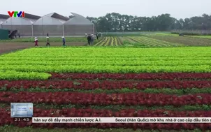 Giải pháp vốn cho các dự án ứng dụng số, chuyển đổi xanh