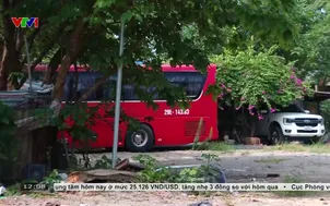 Vừa thiếu vừa lãng phí không gian xanh