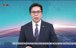 Cà Mau: Mưa trái mùa làm tăng nguy cơ cháy rừng