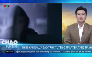 Thiệt hại do lừa đảo trực tuyến ở Malaysia tăng mạnh