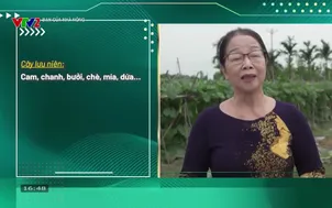 Bạn của nhà nông (2026) - Số 16