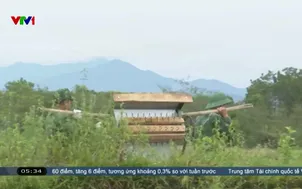 Bộ đội cùng dân thu hoạch lúa chạy mưa giông