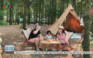 Xu hướng du lịch tại chỗ hè 2026