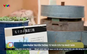 Sản phẩm truyền thống từ ngải cứu tại Nhật Bản