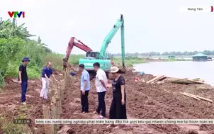 Tìm giải pháp khắc phục sạt lở bờ sông Hồng