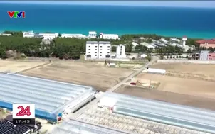 Nông nghiệp thông minh hút người trẻ Hàn Quốc về quê làm việc