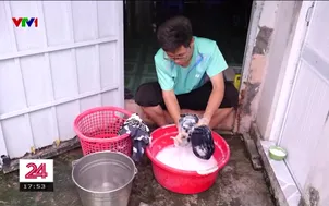 Ông bà là điểm tựa