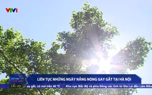 Liên tục những ngày nắng nóng gay gắt tại Hà Nội