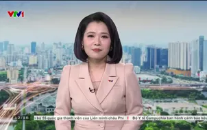 Kết quả điều tra ban đầu về vụ giết người tại trung tâm TP. Hồ Chí Minh