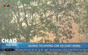 Quảng Trị khống chế vụ cháy rừng