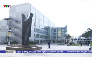 Thung lũng Silicon: Con người học cách sống cùng A.I.