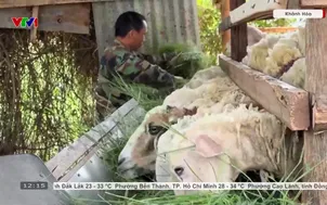 Miền Trung căng mình ứng phó nắng nóng