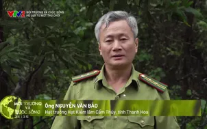 Môi trường và cuộc sống: Hệ luỵ từ một thú chơi
