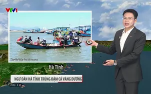 Bản tin thời tiết 9h10 - 29/5/2026