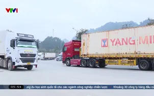 Thích ứng với các quy định mới xuất khẩu sang Trung Quốc 