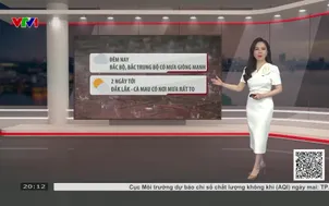 Bản tin thời tiết 19h45 - 29/5/2026