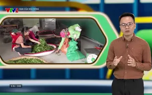 Bạn của nhà nông (2026) - Số 18