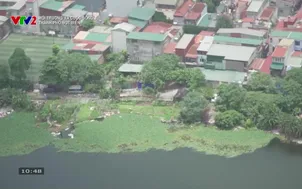 Môi trường và cuộc sống: Thành phố bọt biển