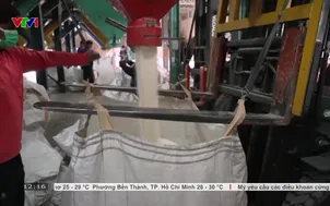 Giá gạo châu Á tăng mạnh