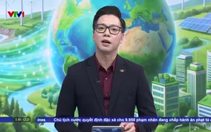 Hiệu quả từ tiết kiệm