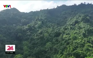 Phú Thọ: Tăng cường ứng dụng công nghệ trong công tác bảo vệ rừng