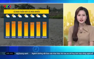 Bản tin thời tiết 5h30 - 01/6/2026