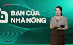 Bạn của nhà nông (2026) - Số 22