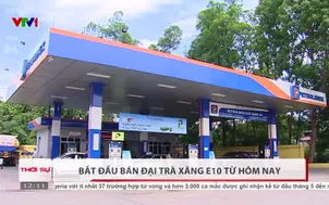 Bắt đầu bán đại trà xăng E10 từ hôm nay