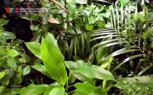 Sách hay thay đổi cuộc đời: Số 22
