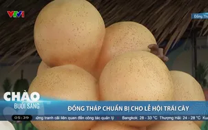 Đồng Tháp chuẩn bị cho lễ hội trái cây