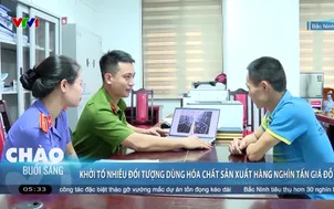 Khởi tố nhiều đối tượng dùng hóa chất sản xuất hàng nghìn tấn giá đỗ