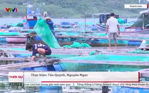 Đội tàu thu gom rác trên biển