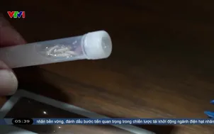 Mỹ phát hiện ruồi ký sinh ăn thịt đe dọa đàn vật nuôi